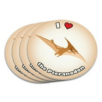 Love Heart Pteranodon Dinosaur Coaster set