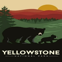 Nacionalni park Yellowstone, Wyoming, Crni medvjed i mladunče