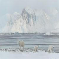 Polarni medvjedi zidni mural Wallmonkeys Ogulja i palica Grafički WM62330