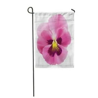 Pink Pansy Flower od vrtne sorte viola trobolor vrtna zastava ukrasna zastava kuće baner