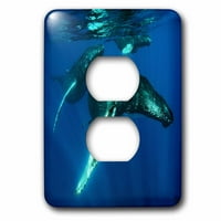 3Droza grbavi kitovi - poklopac utikača