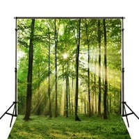 Greendecor Polyster 5x7ft Svijetlo fotografija Backdrop Nature Forest Photo Pozadina drveća Seamles