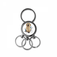 Zubovi za životinje Šok štenad od nehrđajućeg čelika Metalni držač tastera za ključeve ključeva