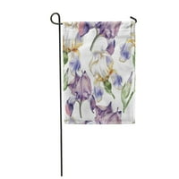 Ljubičasta ljepota sa akvalnokolornim cvjetovima Iris Bloom Blossom Botanički buket Branc Garden Zastava