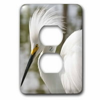 Snowy Egret Bird, Everglades, Florida, SAD - US MDE - Michael Defreitas utikač Outlet FLSP-143712-6