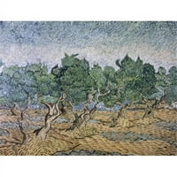 Posterazzi Sal Olive Orchard Violet tlo Vincent Van Gogh 1853- Nizozemski van Gogh Museum Amsterdam