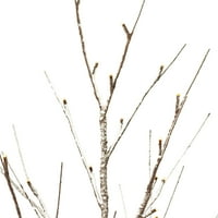 Vickerman 4 'Brown Grked Twig Tree, toplo bijela širokokutna LED svjetla