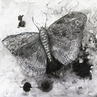 Crno-bijela ilustracija leptirskog plakata print Glen Ronald 12322401
