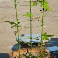 Postavlja kape za podršku biljnim nosačima Vrtni ulozi Paradajz vinova kaveza podržava trellis