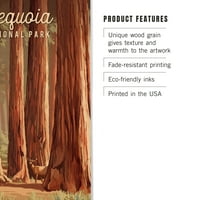 Nacionalni park Sequoia, Kalifornija, Slikarno Nacionalni park serija Birch Wood Zidni znak