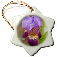 3Droza Purple Iris - Ornament snega