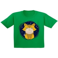 Awkward Styles Cat majice za mlade Kids Cat Majice Slatki CAT rođendanski pokloni za djecu Četvrti rođendanski