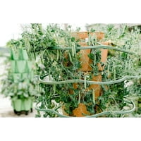 Chictail set biljnih nosača za uzgoj rajčice, krastavaca, paprika, patlidžana i tikvice okomito u vertikalnom