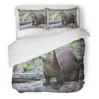 Posteljina Set Sea Brown Otter Gledanja udaljenosti od kamere skrottish dvostrukog prekrivača sa jastukom