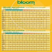 Bloom Organic SWTNR litre žute boce