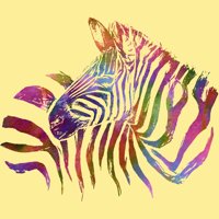 Zebra boja Mens Red Heather Graphic Tee - Dizajn od strane ljudi XL