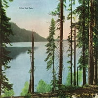 FL OZ Keramička krigla, jezero Tahoe, Kalifornija, pogled na pali listovo jezero, perilicu posuđa i