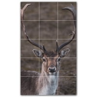 Picture-tiles.com: zidni zidni zid od jelena od jelena WAL500468-34S. 12,75 W 17 H Korištenje 4,25 4,25