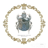 Prilagođavanje Coleoptera IV Poster Print by James Wiens