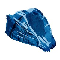 Onrei crni moderni uokvireni muzej umjetnički print pod nazivom - plavi shell prijatelju