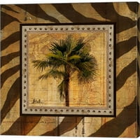 Metaverse C870344-0120000-Aaaacma Gold America II Patricia Pinto Canvas Wall Art - In