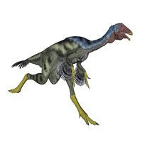 Kaudipterski dinosaur, bijeli pozadinski poster Ispis