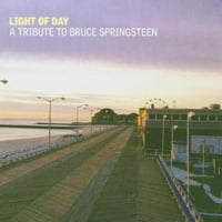 Unaprijed u vlasništvu - svjetlost dana: Počast Bruce Springsteen od strane raznih umjetnika
