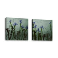 Set od - plavi irises I - Savremena likovna umjetnost Giclee na platnu Galerija - zidni dekor - umjetničko
