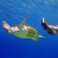 Ocean Reef Aria QR + FullFace maska ​​snorkel combo