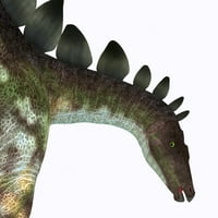 Stegosaurus dinosaur glava. Poster Print Corey Ford Stocktrek Images