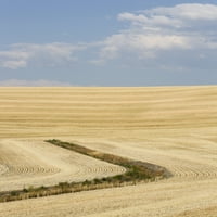Palouse, država Washington. Pšenično polje nakon žetve u posteru za postere za palozu