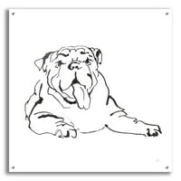 Epic Art 'Line Dog Bulldog I' Chris Paschke, Akrilna staklena zida Art, 36 x36