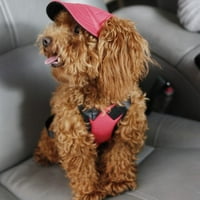 Pas sunčani šešir bejzbol kapa za male srednje velike pse sa rupama za uši podesivo nacrtavanje prozračnih