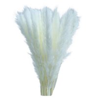 Prodaja čišćenja, buket bijelog prirodnog u boji malog re-ed trave sušenog cvijeća