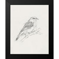 Ethan Harper Black Modern Framed Museum Art Print pod nazivom - Avian Study - II