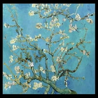 Van Gogh - Blossom badema - 25x37 Uramljeno
