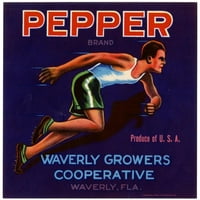 Anonimni crni ukrašeni drveni okviri Double Matted Museum Art Print pod nazivom: Pepper Marka - ljubičasta