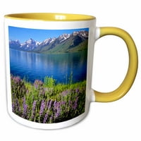 3Droza Wyoming, Grand Teton NP, Jackson Lake, Lupine - US Rer - Ric ErgenBright - Dva tonska žuta krigla,