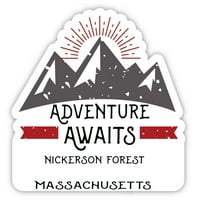 Nickerson Forest Massachusetts Suvenir Magnet Avantura čeka dizajn