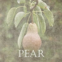 Pear Poster Print Sheldon Lewis