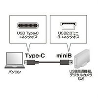 Sanwa opskrbljuju USB2. Tip C-MiniB kabel Ku B konektor