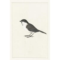 Waltz, Anne crna Moderna uokvirena muzejska umjetnost Ispis pod nazivom - Birdy I