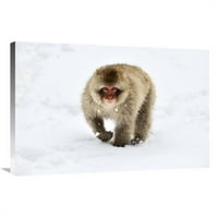 u. Japanska makakna šeta kroz snijeg, Jigokudani Joshinetsu Kogen Nacionalni park, Japan Art Print -