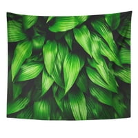 Sažetak banje zelenilo napravljeno svježe zeleno lišće dinamičko zidno umjetnosti viseći tapisery kućni