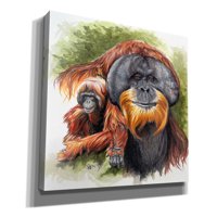 Epic Graffiti 'Orangutan Soul' by Barbara Keith, Platno Zidna umjetnost, 12 x16