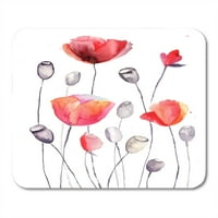 Vodenicolor cvjetni mak cvjetovi crveni vintage cvjeta blossom botaničke mousepad jastuk za miš miš