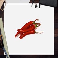 Čile paprika, ikona