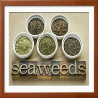 Posude morske trave prehrane, morska salata, morska zelena salata, kelp prah, wakame i irska mahovina,