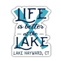Jezero Hayward Connecticut Suvenir Frižider Magnet dizajn veslo