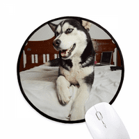 Pas životinja soba Husky Slika jastuk za miša Desktop Office Round Mat za računar
